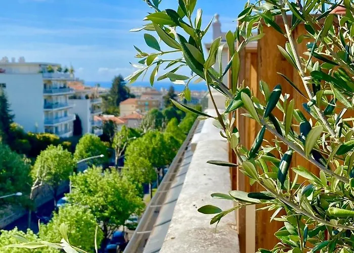 - Little With Sunny Terrace *